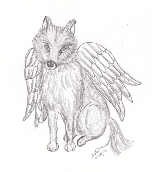 Angel wolf by Sally Gilroy